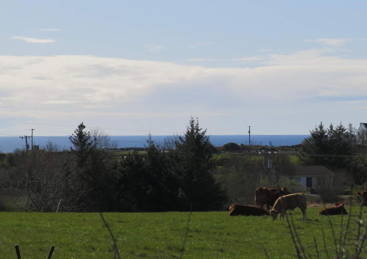 Farm Stay Property Pets And Families Welcome Росноула Екстер'єр фото